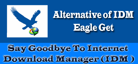 Say-Goodbye-To-Internet-Download-Manager