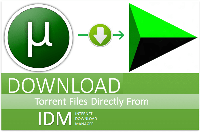 How To Download Torrent File Using IDM For Free